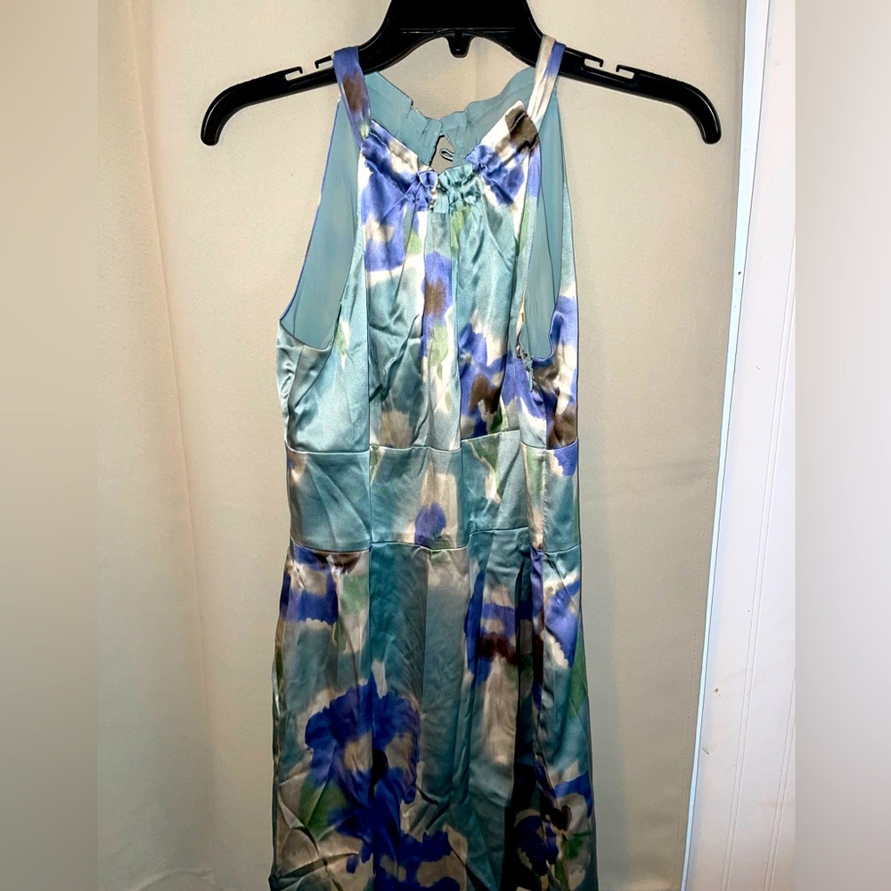 Beautiful Ann Taylor size 8P dress